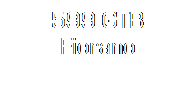 Zone de Texte: 599 GTB Fiorano
